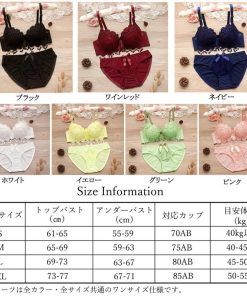 ビキニ | 下着セット セクシー下着 ショーツ フルバックショーツ レースランジェリー レディース かわいい セット ブラジャー 刺しゅう