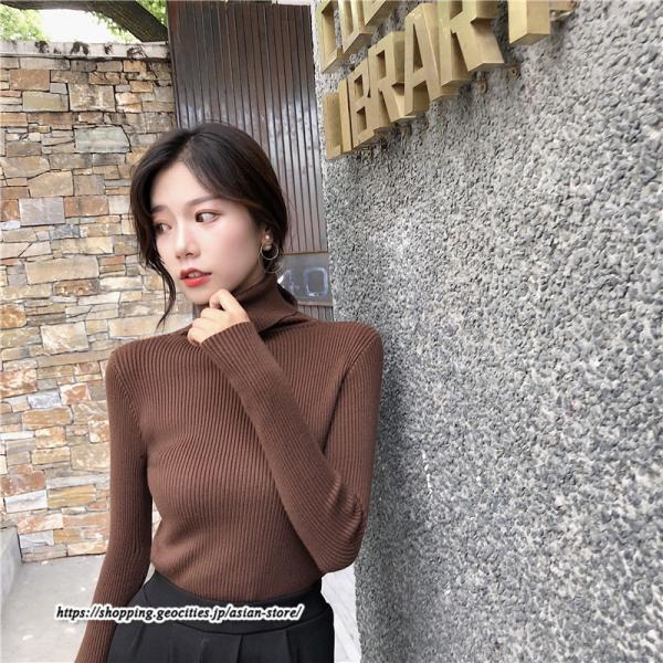 ニット・セーター | カットソー ニット レディース リブニット ハイネック 長袖 秋冬 春 トップス スリム ストレッチ 暖かい 長袖ニット 無地 プルオーバー インナー 長袖カットソー
