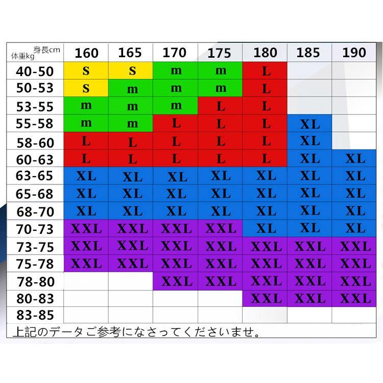 Tシャツ | Tシャツ メンズ 半袖 重ね着風 レイヤード 無地 ゆったり クルーネック カットソー 20代 30代 おしゃれ 無地 大きいサイズ シンプル 40代 カジュアル お出かけ