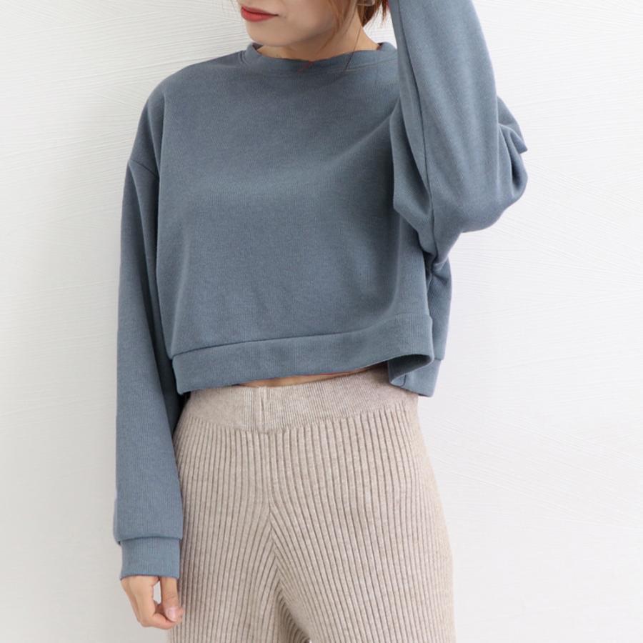 Tシャツ・カットソー | ショート丈スウェット レディース 韓国風