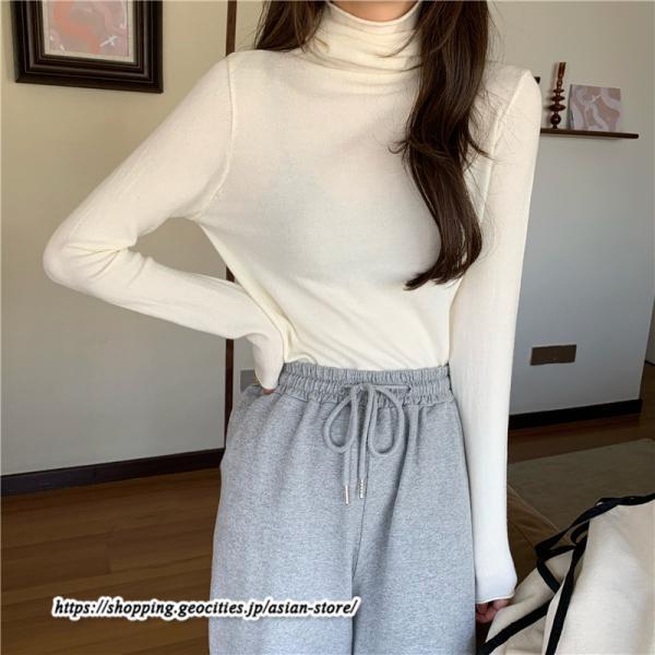 ニット・セーター | カットソー ニット レディース ハイネック 長袖 秋冬 春 トップス スリム ストレッチ インナー 無地 プルオーバー 通学通勤 長袖ニット 着痩せ 長袖カットソー
