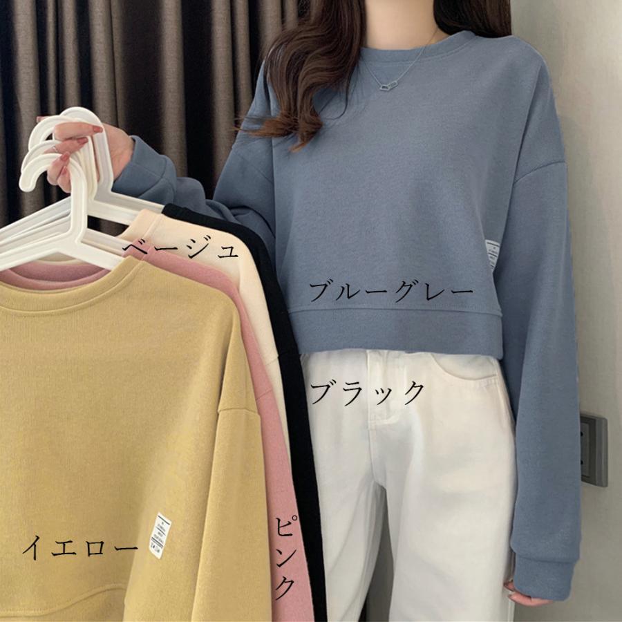 Tシャツ・カットソー | ショート丈スウェット レディース 韓国風