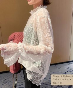 透かし編みトップス | レースブラウス レディース オシャレ シースルー きれいめ シアートップス プルオーバー セクシー プチハイネック 韓国風 長袖