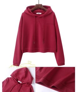 パーカー | 秋新作 長袖フード付き 秋冬 コーデ 薄手 ショート丈 6色 刺繍 シンプル 人気 おしゃれ スウェット プルオーバー 上品 トレーナー 秋物