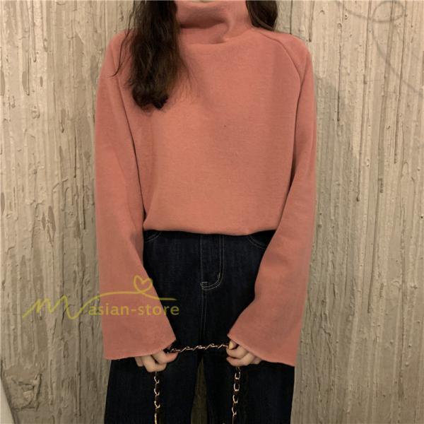 パーカー | トレーナー レディース 厚手 秋冬 コーデ 無地 ハイネック トルネック 長袖 着回し 裏起毛 暖かい 可愛い フリーサイズ ゆったり 7色 プルオーバー カジュアル