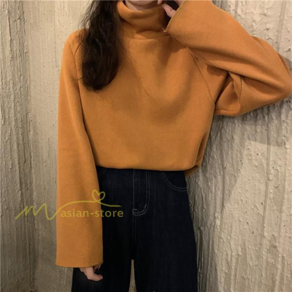 パーカー | トレーナー レディース 厚手 秋冬 コーデ 無地 ハイネック トルネック 長袖 着回し 裏起毛 暖かい 可愛い フリーサイズ ゆったり 7色 プルオーバー カジュアル