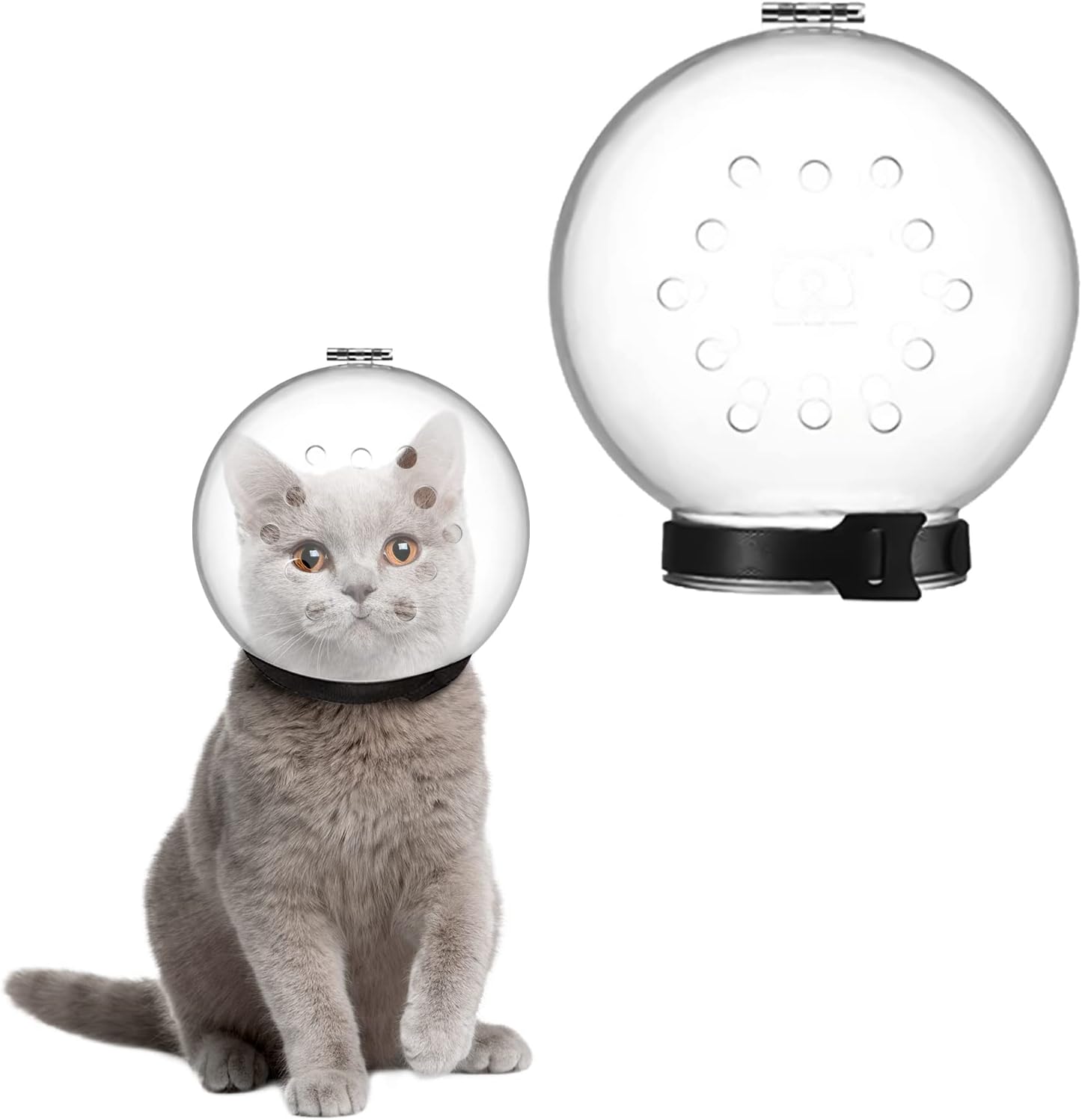 61gSPHJOQcL._AC_SL1500_