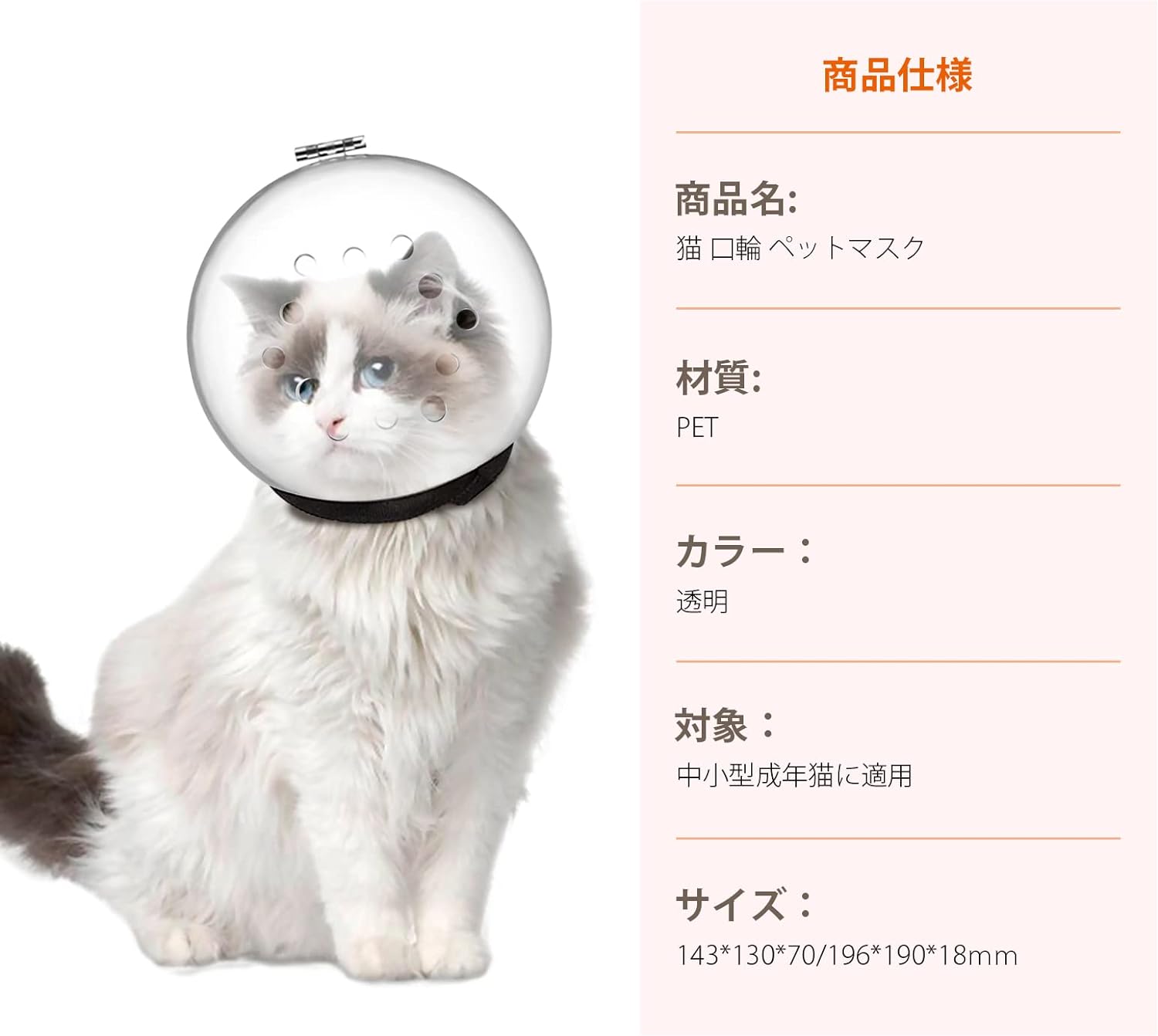 61+mQUWDqaL._AC_SL1500_