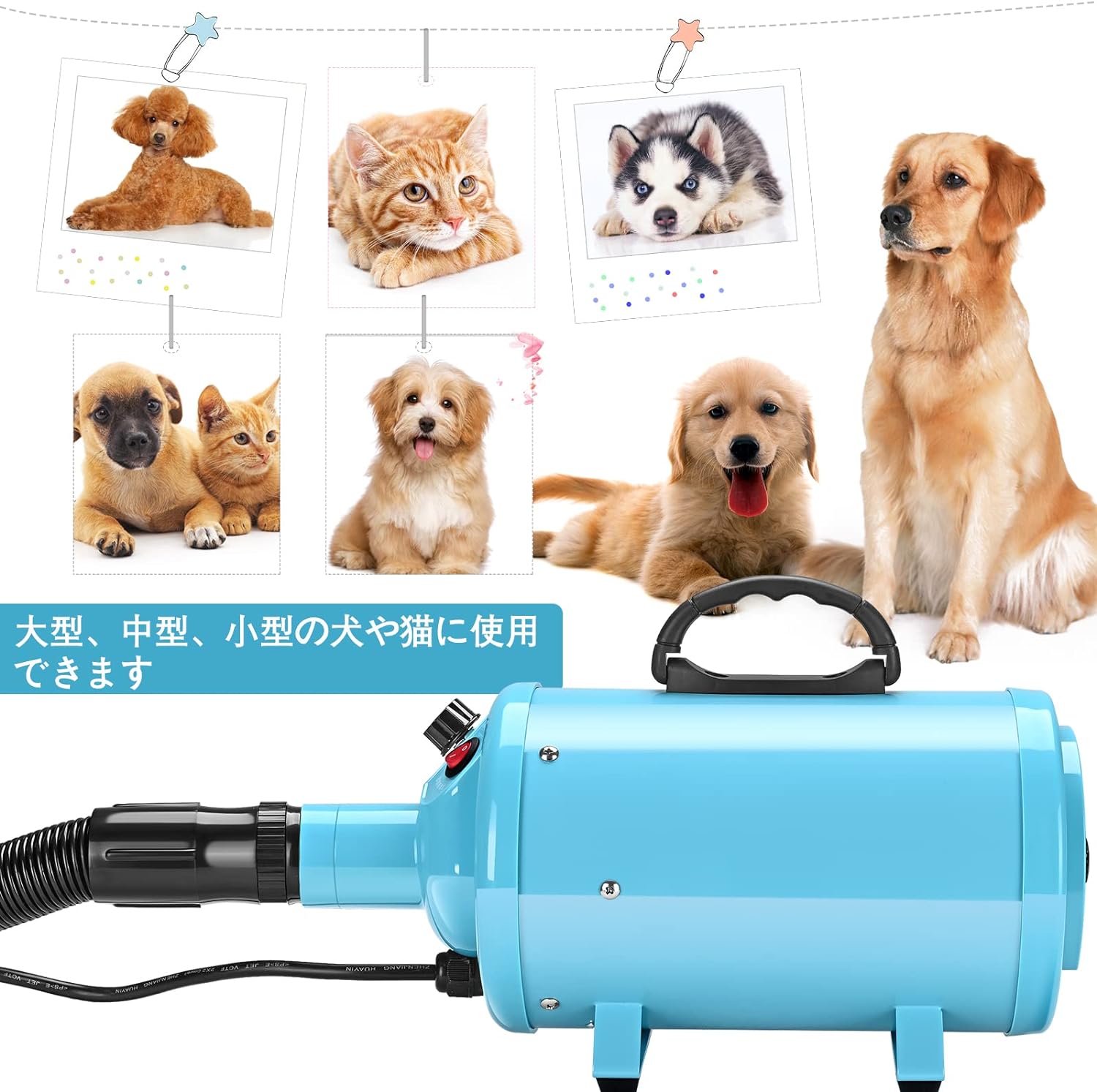 71NU-9NHx1L._AC_SL1500_