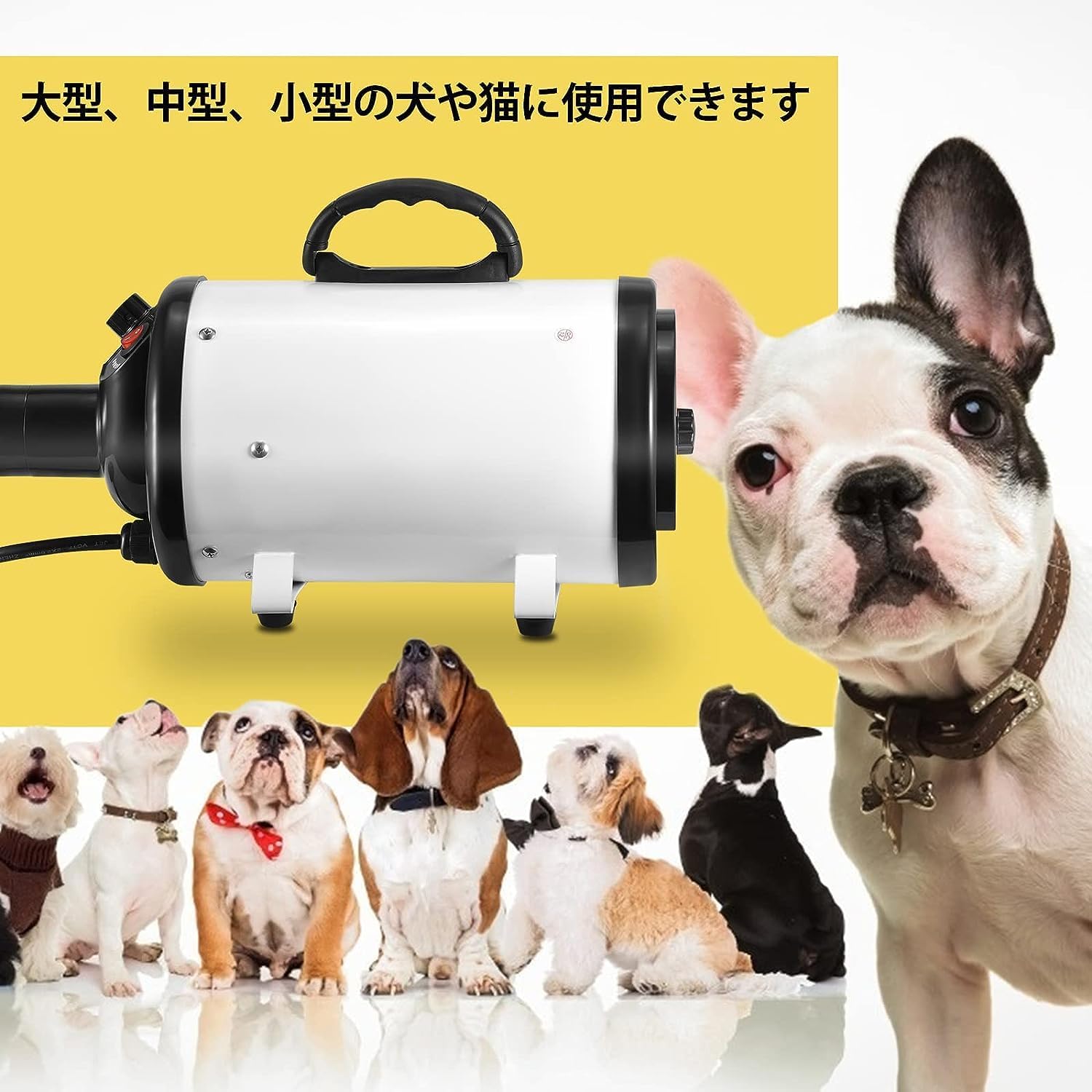 71vOnapCs7L._AC_SL1500_